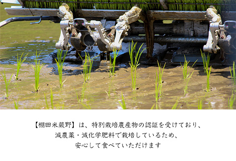『先行予約』【令和7年産新米】特別栽培棚田米「蕨野」5kg×1袋(合計5kg) 家庭排水が一切入らない自然水で作られたお米 10日に1回精米で新米のような味わい