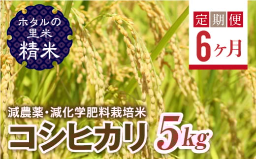  ＜定期便6ヶ月＞【ホタルの里米】環境に配慮し農薬を減らした栽培米 コシヒカリ精米5kg F4D-1436