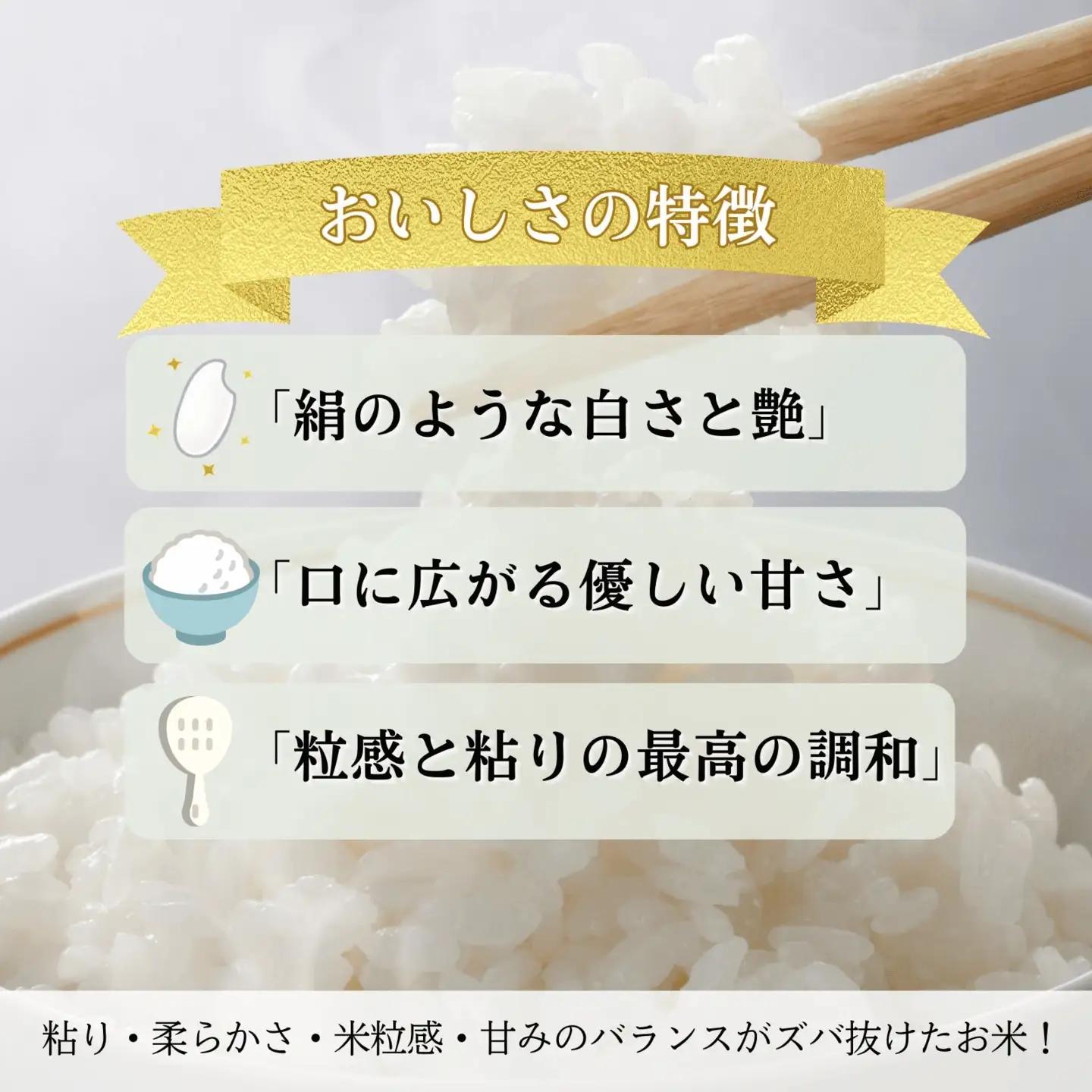 福井県産いちほまれ 米 5kg [B-187002] / いちほまれ