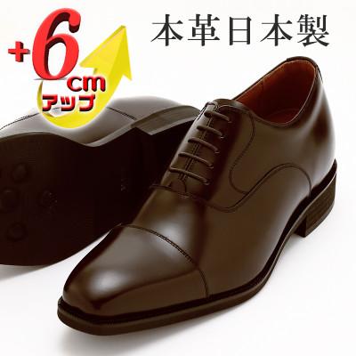 ふるさと納税 大和郡山市 牛革内羽根ストレートチップ 6cmアップシークレットシューズ No.1301 茶 23.5cm