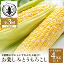 【ふるさと納税】【3回定期便】【Juwari-じゅわり-】お楽しみとうもろこし 4kg以上 野菜 41-G