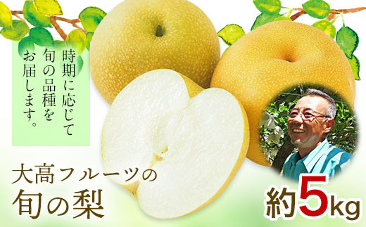 大高フルーツの旬の梨(幸水/豊水/秋麗/あきづき/甘太/新高)★約5kg(8-16玉前後)  《8月中旬-10月上旬頃出荷》予約受付中 フルーツ 秋 旬★熊本県玉名郡玉東町