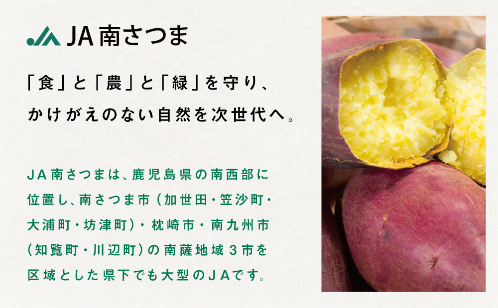 【鹿児島県産】紅はるか 冷凍やきいも 計2.5kg（500g×5袋） スイーツ さつまいも サツマイモ べにはるか 焼き芋 焼いも 冷凍 JA 南さつま市
