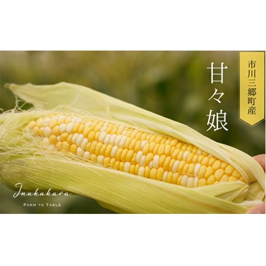 【ふるさと納税】【2025年6月上旬から発送】プレミアムとうもろこし「甘々娘」10本入 山梨県市川三郷町産 Inakakara[5839-1818]