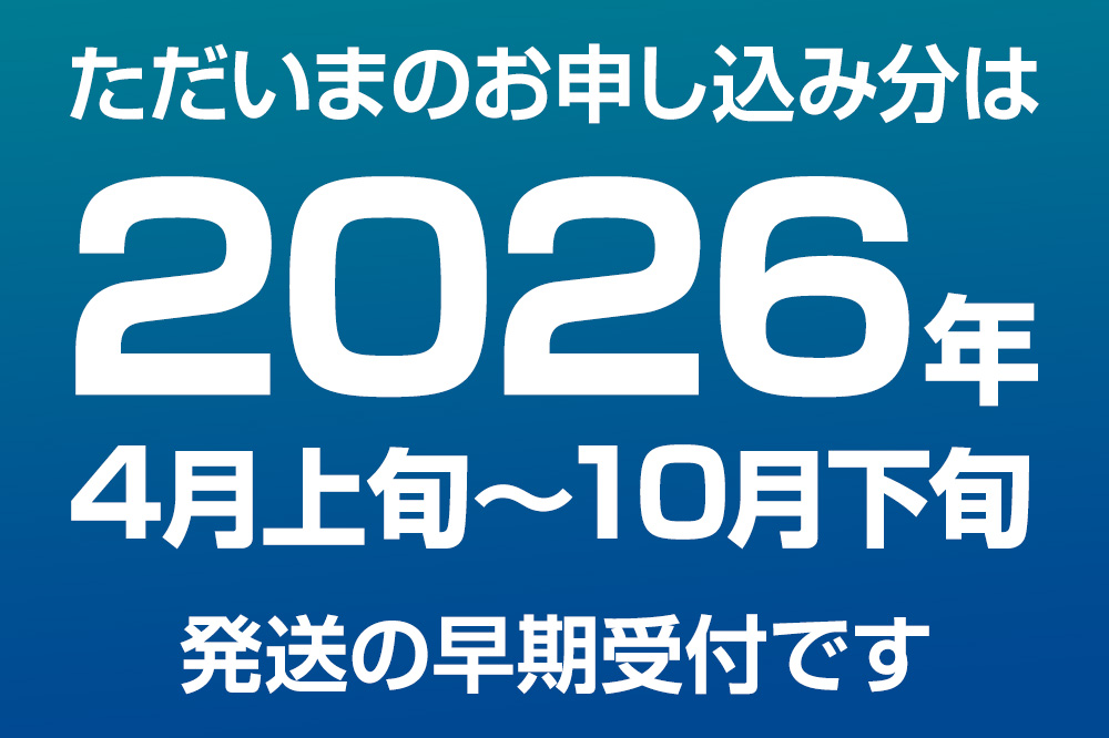 《先行受付 2026年4月上旬より発送》産地直送 ナンバンエビ 約1kg！ ぷりっぷりでとろける甘さ お刺身や海鮮丼に 秋田県 男鹿市 萬漁水産