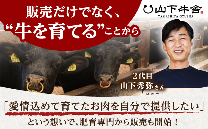 【毎日の食卓を彩る】佐賀牛 切り落とし 1kg(250g×4p)【山下牛舎】 [HAD151]