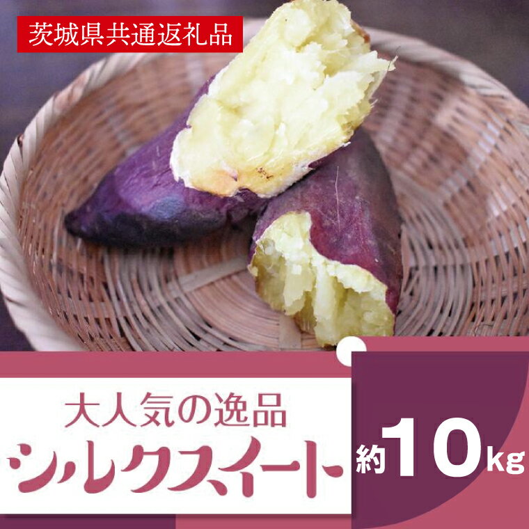 【ふるさと納税】【11月発送】上品な甘みさつまいも シルクスイート10kg（茨城県共通返礼品・行方市産）(AK104)