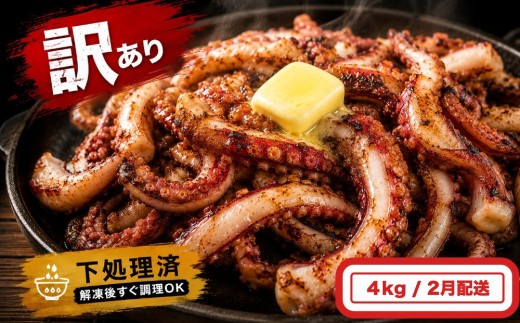 いか 〈 訳あり 〉2月配送 宮城県産 スルメイカ ゲソ 4kg 冷凍 国産 スルメイカ いか 下足 イカ イカゲソ カルパッチョ おつまみ 魚介類 焼イカ イカ料理 バーベキュー BBQ わけあり 不揃い 烏賊 炒め物 フライ ゲソ天 唐揚げ 石巻 宮城