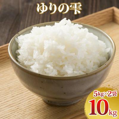 ふるさと納税 袖ケ浦市 令和8年産 ゆりの雫(ふさおとめ)精米 10kg(5kg×2)
