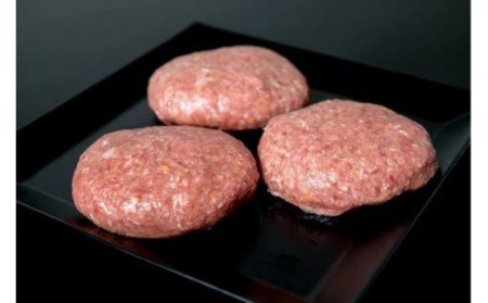 国産牛肉で作った特製手作りハンバーグ5個／Asz-A15