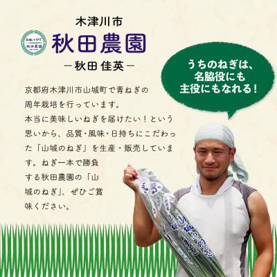 ふるさと納税 木津川市 ねぎに恋するメンチボール　48個入り |  | 03