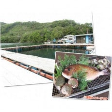 【5名】すみちゃんの釣り堀 伊勢志摩で釣り体験 城水産がお土産付きの利用券を全国へお届けします