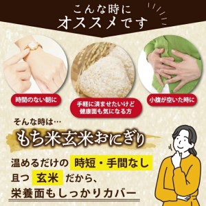 SC0282　【3回定期便】もち米 玄米おにぎり プレーン15個×3回(計45個)
