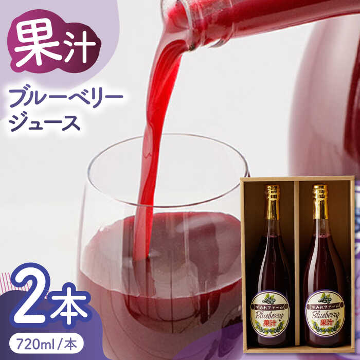 【ふるさと納税】ブルーベリージュース 2本セット 【すみれファーム】[ZEP020]