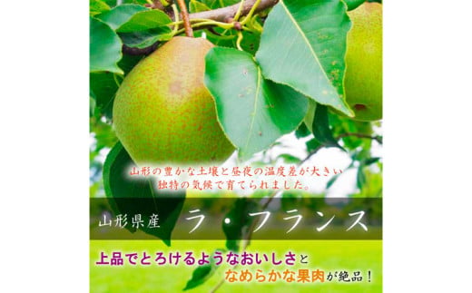 【定期便3回】山形市至高のフルーツ定期便 全3回C 6月発送開始【令和8年産先行予約】FS24-762