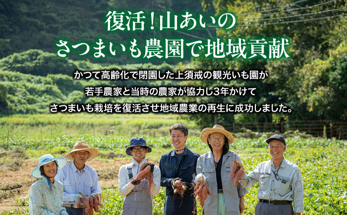 愛媛大洲育ち 熟成紅はるか焼き芋 1kg（4から6本入り） さつまいも やき芋 冷蔵 小分け 個包装 愛媛県大洲市/(有)玉井民友商店 [AGBY007]