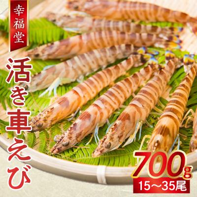 ふるさと納税 天草市 【指定日必須】【鮮度抜群】厳選・幸福堂の活き車えび(700g)_S005-002