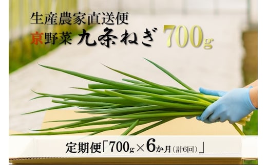 
										
										【6か月定期便】生産農家直送 京野菜・九条ねぎ1kg〈定期便 ねぎ ネギ 葱 九条ねぎ 京野菜 京都 新鮮 甘い 農家直送 野菜〉
									