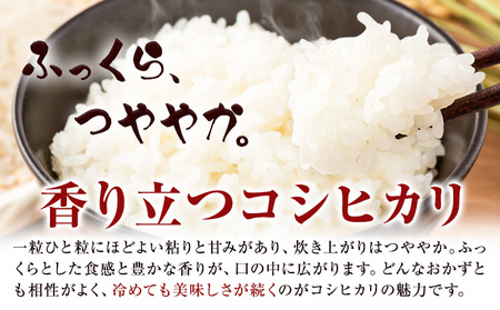 米 白米 コシヒカリ 5kg 令和7年産 都呂々みかん生産者グループ 精米