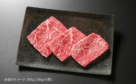 飛騨牛 赤身 ステーキ 100g 3枚 ブランド和牛  真空パック 黒毛和牛 BBQ 焼肉 キャンプ 人気  【飛騨高山ミート MZ025】【飛騨牛 ステーキ 和牛ブランド 飛騨牛 ステーキ 黒毛和牛