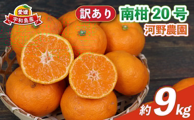 
            訳あり 南柑20号 9kg 河野農園 温州みかん みかん 人気のみかん 美味しいみかん 濃厚みかん 温州蜜柑 愛媛みかん 愛媛蜜柑 愛媛ミカン 蜜柑 mikan 温州 柑橘 果物 くだもの 訳アリ 訳あり品 訳有り わけあり フルーツ 産地直送 数量限定 先行予約 国産 愛媛 宇和島 B010-147004
          