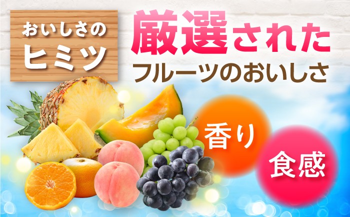 たらみくだもの屋さん 160g6種×各6個 ゼリー ぜりー フルーツゼリー 果物 フルーツ 食べ比べ