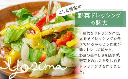 【12月配送】自然栽培農家のドレッシング3種 | 年内発送 自家栽培農家 ドレッシング サラダ 自家栽培 洋風ドレッシング 玉ねぎドレッシング 大根おろしドレッシング 梅ドレッシング 飛騨高山 よしま