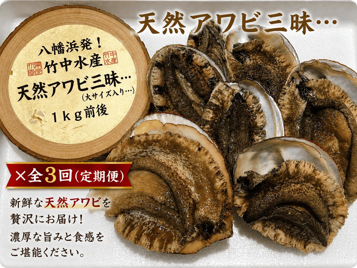 
H22-173.竹中水産の定期便３回！「活アワビ三昧・１㎏前後（×３回）」
