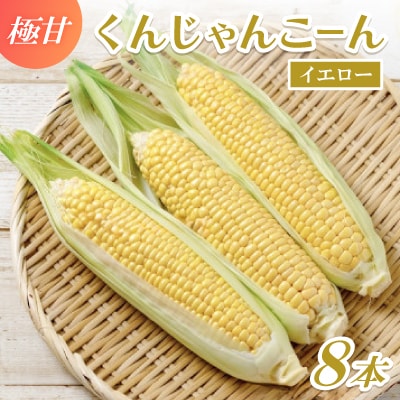 【2027年4月上旬から順次発送】春獲れ一番!極甘くんじゃんこーん 8本 とうもろこし【配送不可地域：離島】