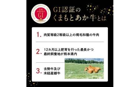 【定期便6回】GI認証 くまもとあか牛 すき焼き用500g