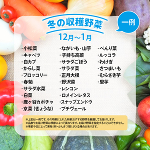 【定期便】道の駅 竜王 かがみの里 旬の野菜セット 全3回