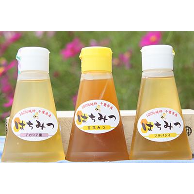 ふるさと納税 袖ケ浦市 房総里山のかわの養蜂はちみつ　200gチューブ　3本セット