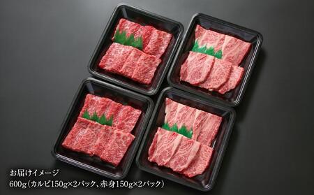 飛騨牛 厳選2種盛 600ｇ（赤身焼肉・カルビ焼肉）小分け 冷凍真空パック【飛騨高山ミートMZ008】