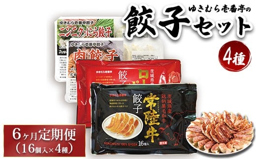 【6ヶ月定期便】ゆきむら壱番亭の4種の餃子セット ※離島への配送不可