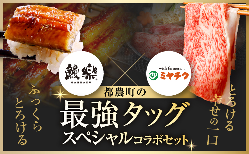 【10月1日より寄附額改定】≪数量限定≫うなぎ×黒毛和牛 都農町最強セットB 肉 牛 牛肉 おかず 国産_T030-130-02