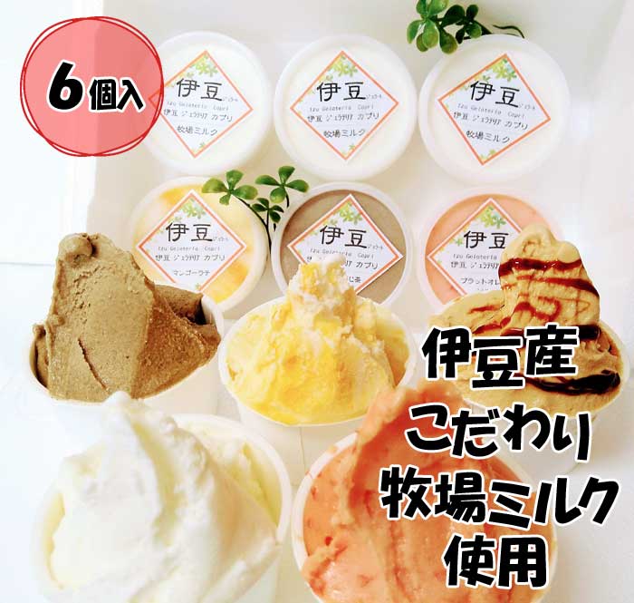 【ふるさと納税】伊豆産 低温殺菌ミルクのこだわりジェラート6個セット カプリおまかせセット6個(4種類)