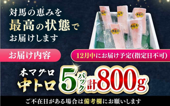【12月中にお届け】対馬産 養殖 本マグロ 中トロ 800ｇ(5パック)《対馬市》【対海】 マグロ 鮪 まぐろ 本鮪 中とろ [WAH019-12]