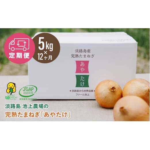 【定期便】淡路島 池上農場の完熟たまねぎ「あやたけ」5kg　12ヶ月コース　　[玉ねぎ 玉葱 淡路島 玉ねぎ たまねぎ]