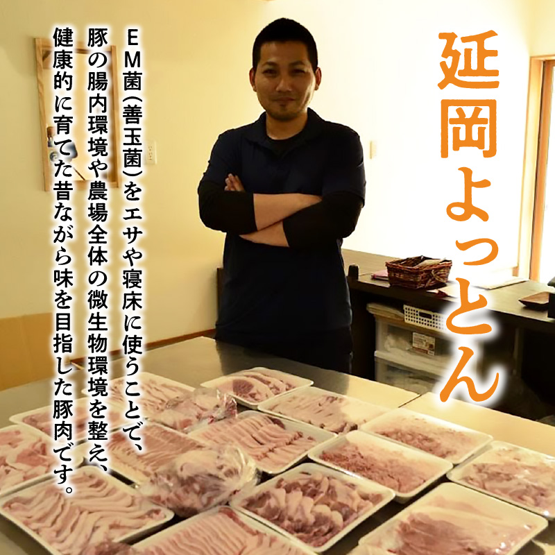 延岡よっとんバラブロック約1kg N003-YZA328-1_イメージ2