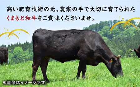 【12回定期便】くまもと黒毛和牛 贅沢定期便（ステーキ すき焼き しゃぶしゃぶ 焼肉）【馬刺しの郷 民守】 スライス バラ 和牛 サーロイン 肩ロース すき焼き 焼肉用 しゃぶしゃぶ [ZBL037]