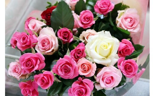 朝切りバラ 花束 約20本 赤・ピンク・黄色ミックス 約50～60cm 有機栽培 生産者直送 小山農園 埼玉県白岡市 生花 切り花 ブーケ フラワーギフト 誕生日 記念日 母の日 プレゼント 贈り物 自宅用 インテリア 花持ち サムライ ローテローゼ テレサ アクロポリス 薔薇 ミックスカラー