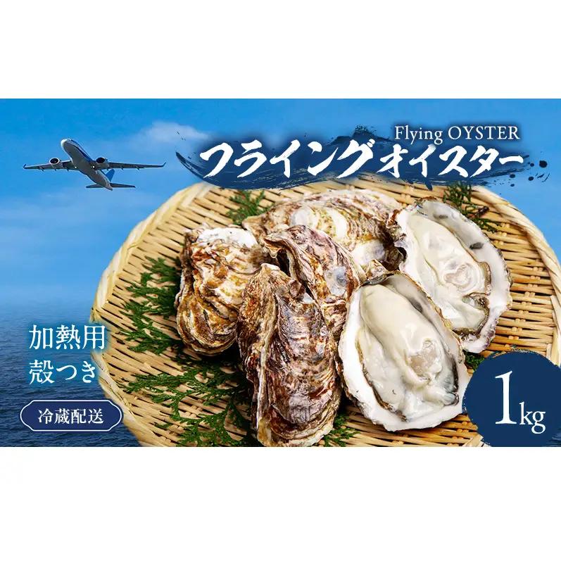 牡蠣 殻付き 1kg 加熱用 先行予約 生 牡蠣