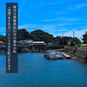 愛媛一棟貸し 風早邸海音 宿泊補助券 3万円分 | 30000円分 温泉 旅行 家族旅行 団体旅行 貸し切り 貸切 一棟貸 民泊トラベル チケット 宿泊 宿泊券 予約 観光 愛媛 松山 北条 人気 お