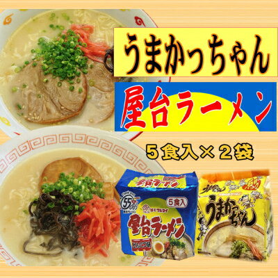 【ふるさと納税】 博多 九州 とんこつラーメン2種×5食セット うまかっちゃん 5食 屋台ラーメン 5食 ラーメン 豚骨とんこつ 拉麺 美味しい 本場 惣菜 おかず 小分け お手軽 簡単 インスタントラーメン 豚骨 即席麺 福岡 お米に合う
