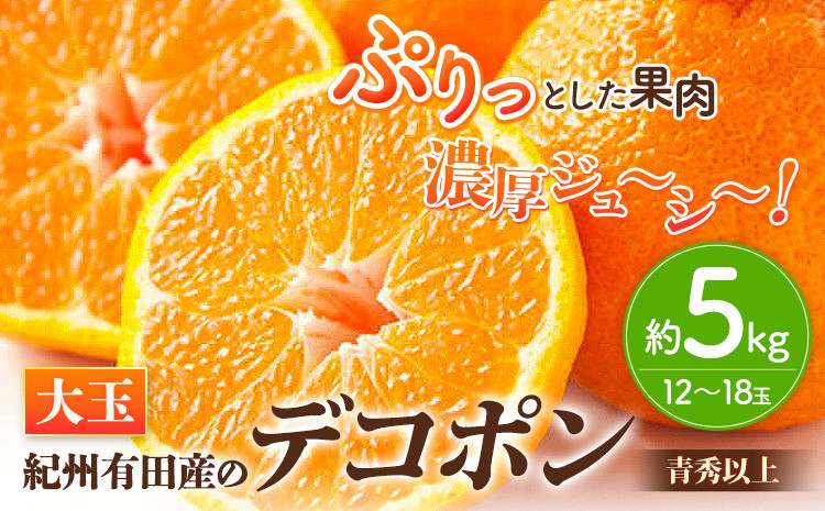 
            【先行予約】紀州有田産 デコポン 大玉 約5kg (12～18玉入り) 青秀以上 厳選館 《2026年1月中旬-3月下旬出荷》 和歌山県 日高町 送料無料 みかん 柑橘 柑橘類 ミカン でこぽん
          