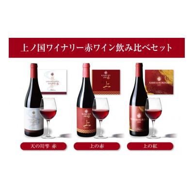 ふるさと納税 上ノ国町 北海道上ノ国町 上ノ国ワイナリー 赤ワイン飲み比べセット(上の赤・天の川雫赤・上の紅)
