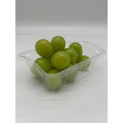 ふるさと納税 津山市 【発送月固定定期便】岡山県産 フルーツ定期便〈お一人様向け〉全6回 |  | 03