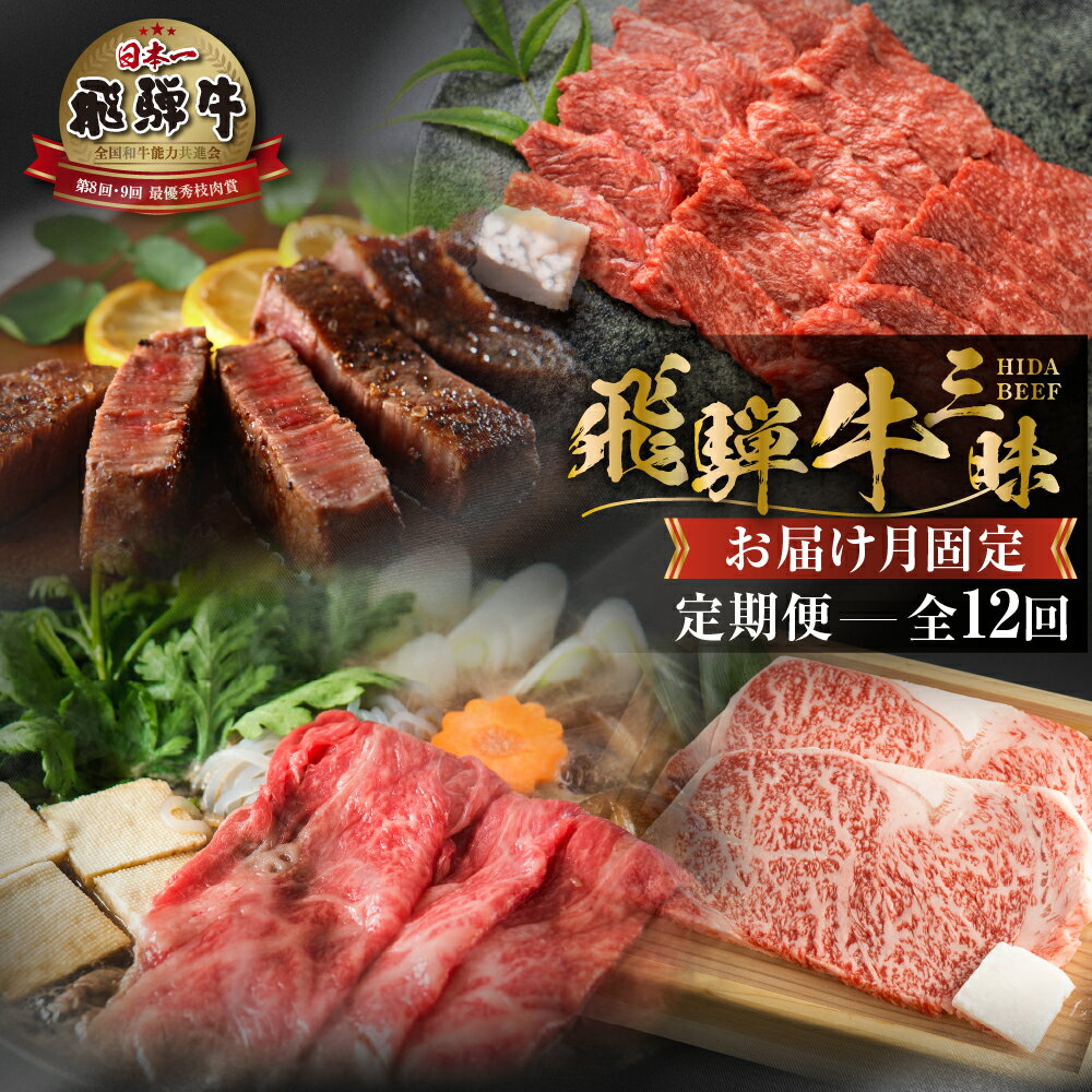 【ふるさと納税】《まるごと定期便》12回 固定月 厳選 お届け 飛騨牛 三昧 肉 肉づくし 白川郷 もも肉 切り落とし サーロイン ステーキ しゃぶしゃぶ すき焼き300000円 30万円 国産 焼肉 カルビ 牛肉 A4 A5 ロース 焼肉 赤身 霜降り 食べ比べ 岐阜県 白川村 お楽しみ [S634]