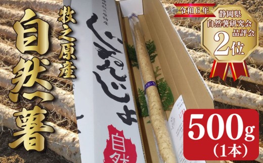 【 予約受付 】自然薯 500g 1本 じねんじょ 山芋 ヤマイモ 山いも とろろ とろろ汁 国産 滋養強壮 強壮 とろろご飯 ご飯のお供  栄養 美味しい おいしい 自宅用 家庭用 贈答用 贈答 贈り物 ギフト プレゼント おすすめ オススメ 産地直送 農家直送 産直 直送 静岡県産 牧之原産 お土産 とろろごはん やまいも 野菜 芋 イモ 和食 ご飯 ごはん やまあい農園 静岡県 牧之原市