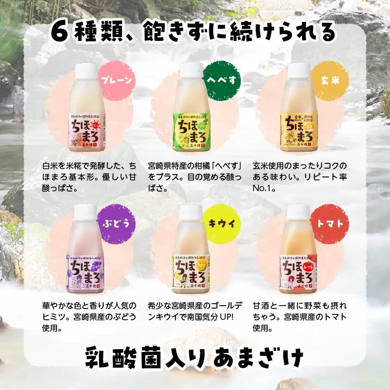 乳酸菌入りあまざけ ちほまろ 150g　30本セット【プレーン へべす 玄米 キウイ トマト ブドウ】 セット 飲み比べ 味比べ 詰め合わせ 無添加 砂糖不使用 日課 ノンアルコール 飲み物 ドリンク